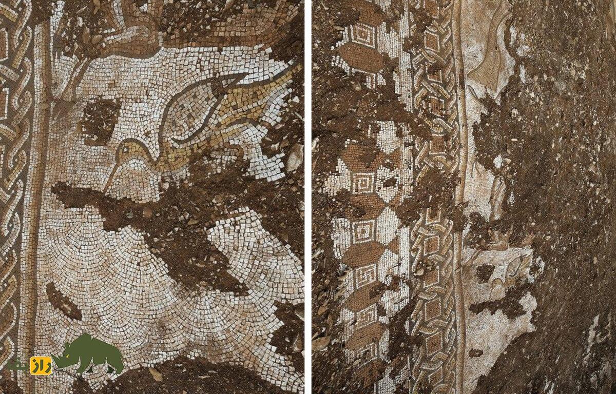 موزاییک‌های رومی با نقوش حیوانات در ترکیه کشف شد