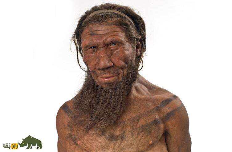 اگر نئاندرتالها منقرض نمیشدند، جهانِ امروز چه شکلی بود؟ نئاندرتال