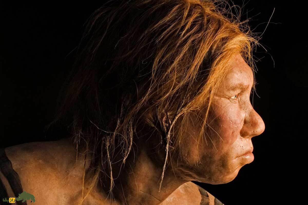 (تصاویر) این چهره نخستین اروپایی شناخته شده تاریخ است!
