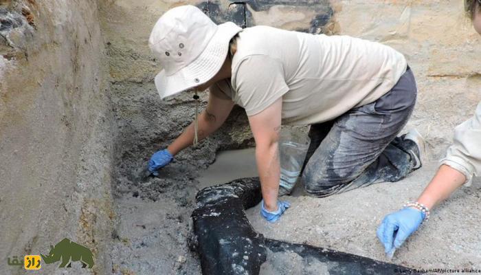 قدیمی‌ترین سازه چوبی ساخته دست بشر کشف شد؛ نیم میلیون سال قدمت! +تصاویر