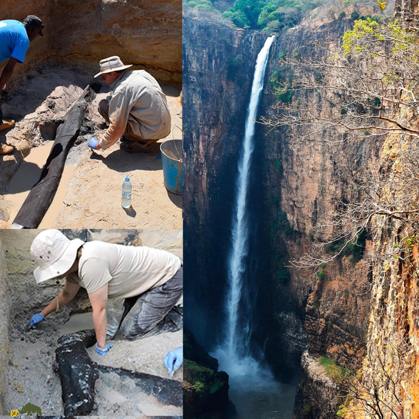 قدیمی‌ترین سازه چوبی ساخته دست بشر کشف شد؛ نیم میلیون سال قدمت! +تصاویر