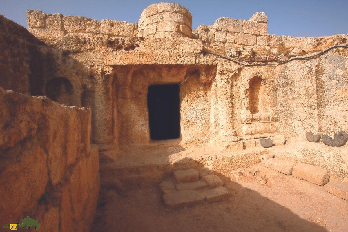 افشای راز تاریخ؛ نژاد «سگ اصحاب کهف» چه بود؟ افشای راز تاریخ؛ نژاد «سگ اصحاب کهف» چه بود؟