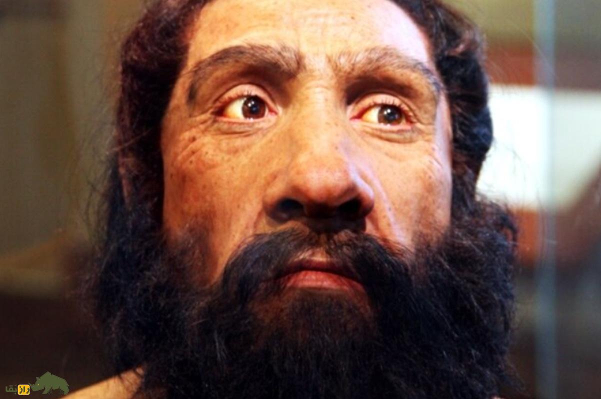 آی کیو انسانهای نئاندرتال چقدر بود؟ آی کیو انسانهای نئاندرتال چقدر بود؟