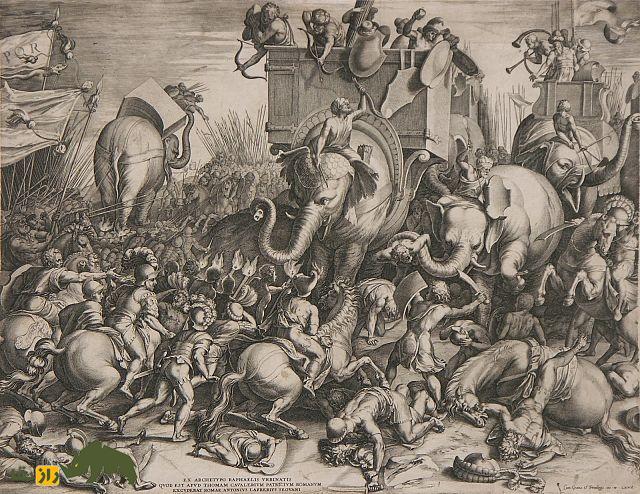 فیل های جنگی