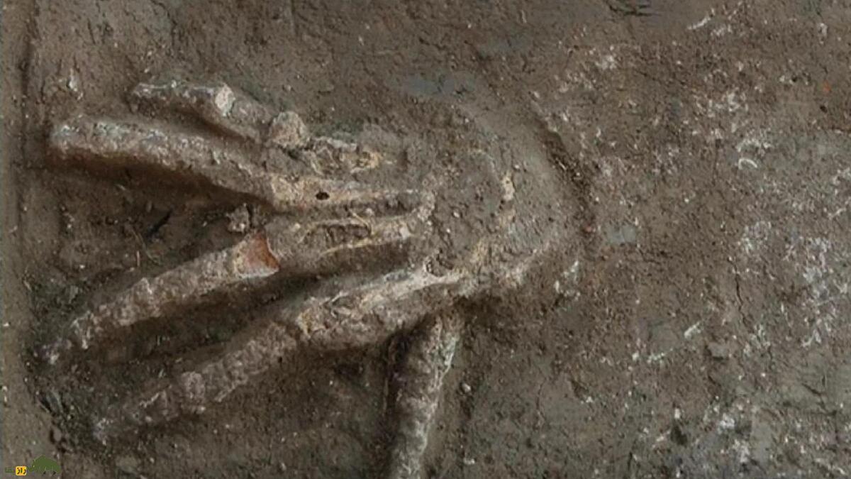 راز دست‌های بریده کشف‌شده در قصر باستانی ۳۵۰۰ ساله کشف شد