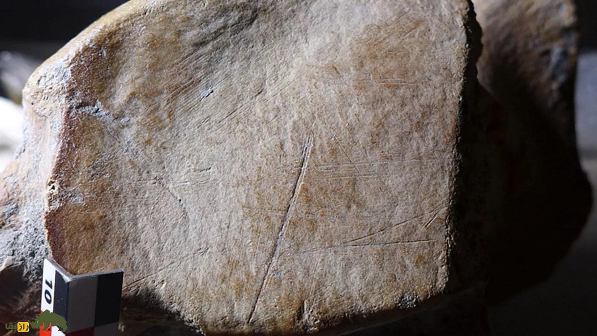 نتایج یک تحقیق جالب: نئاندرتالها چطور دست خالی فیل شکار میکردند؟ نتایج یک تحقیق جالب: نئاندرتالها چطور دست خالی فیل شکار میکردند؟