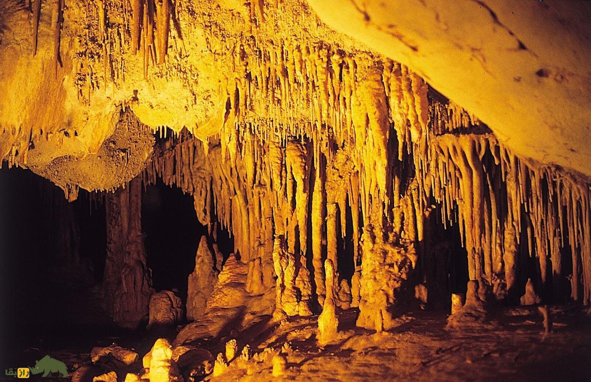 اسرار یک تار موی سه هزار ساله؛ اولین شاهد مصرف مواد مخدر در تاریخ! اسرار یک تار موی سه هزار ساله؛ اولین شاهد مصرف مواد مخدر در تاریخ!