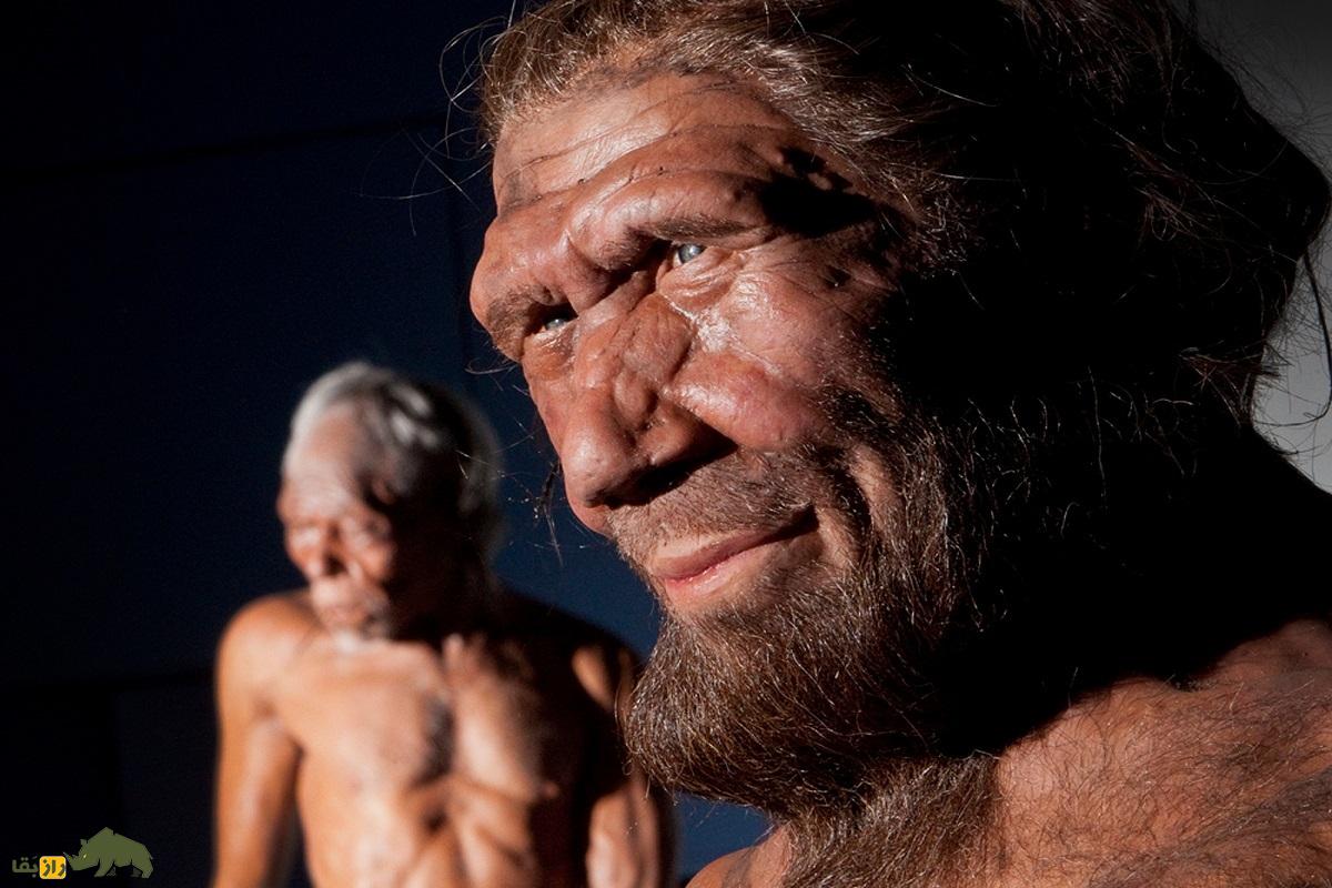 سیگاریها با نئاندرتالها مرتبطند؟ شش ویژگی نشاندهنده ارتباط با نئاندرتالها نئاندرتالها