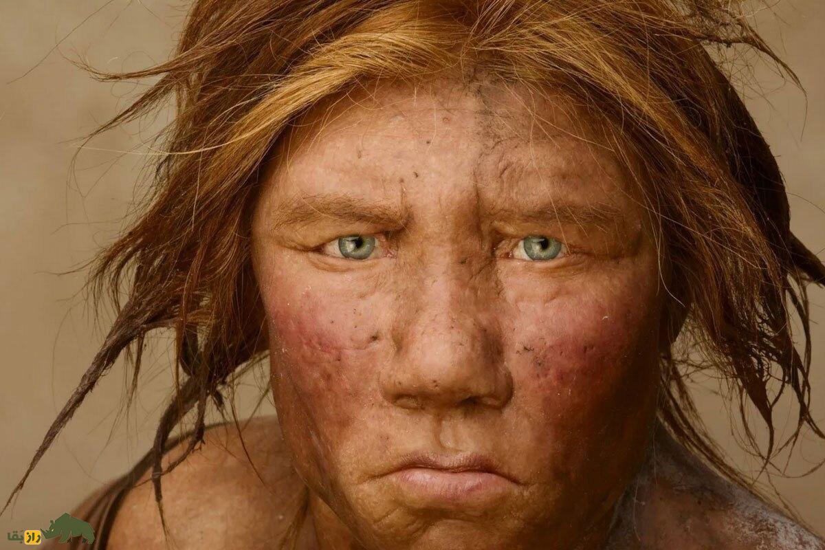 انسان نئاندرتال ایرانی چه شکلی بود، کجا زندگی میکرد و چه میخورد؟ انسان نئاندرتال