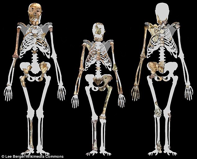 قدیمی‌ترین پوست انسان چه شکلی بود؟!