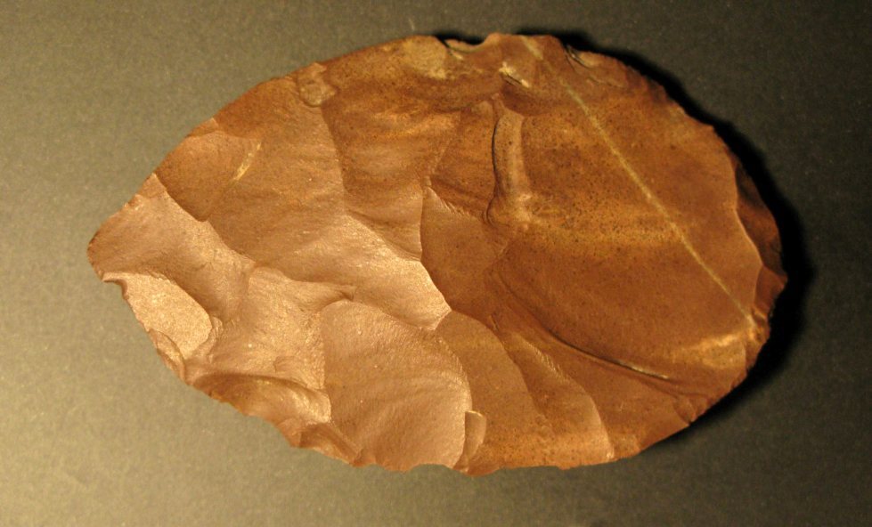 انسان‌ها چگونه نسبت به نئاندرتال‌ها دوام آورده اند؟