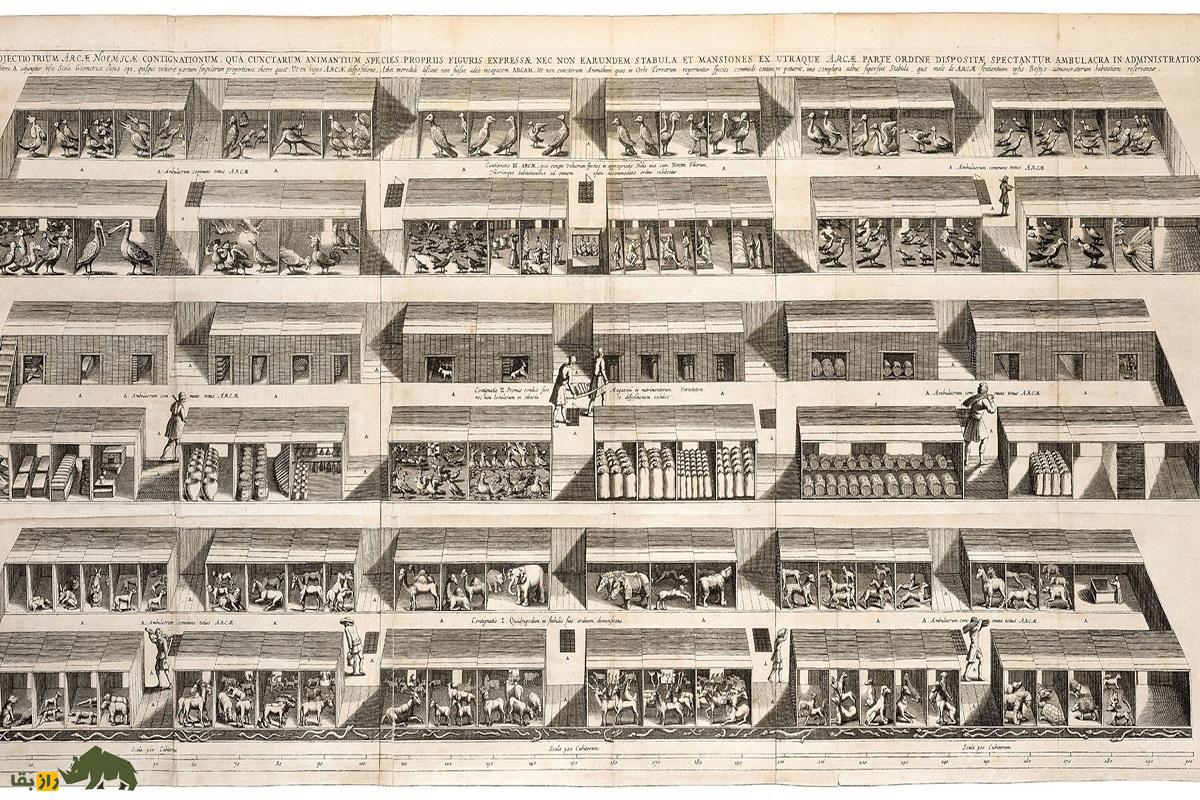 کدام حیوانات در کشتی نوح بودند؟ کدام حیوانات در کشتی نوح بودند؟