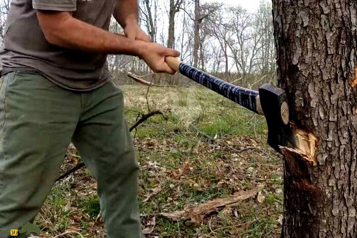 کشف عجیب محققان؛ گیاهان جیغ میزنند، ناله میکنند، فحش میدهند! کشف عجیب محققان؛ گیاهان جیغ میزنند، ناله میکنند، فحش میدهند!
