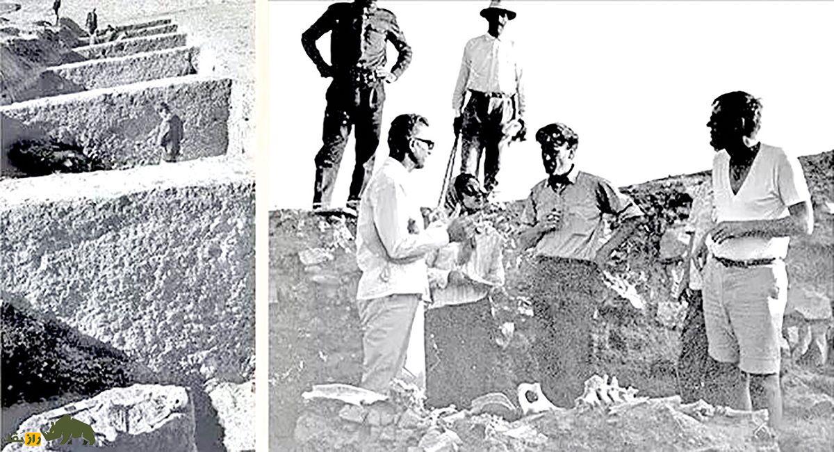 گنج بزرگی که زیر پارک قیطریه تهران نهفته است! گنج بزرگی که زیر پارک قیطریه تهران نهفته است!