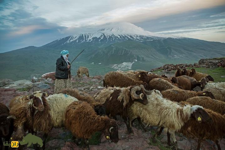 چرا کشتی نوح هرگز پیدا نخواهد شد؟! چرا کشتی نوح هرگز پیدا نخواهد شد؟!