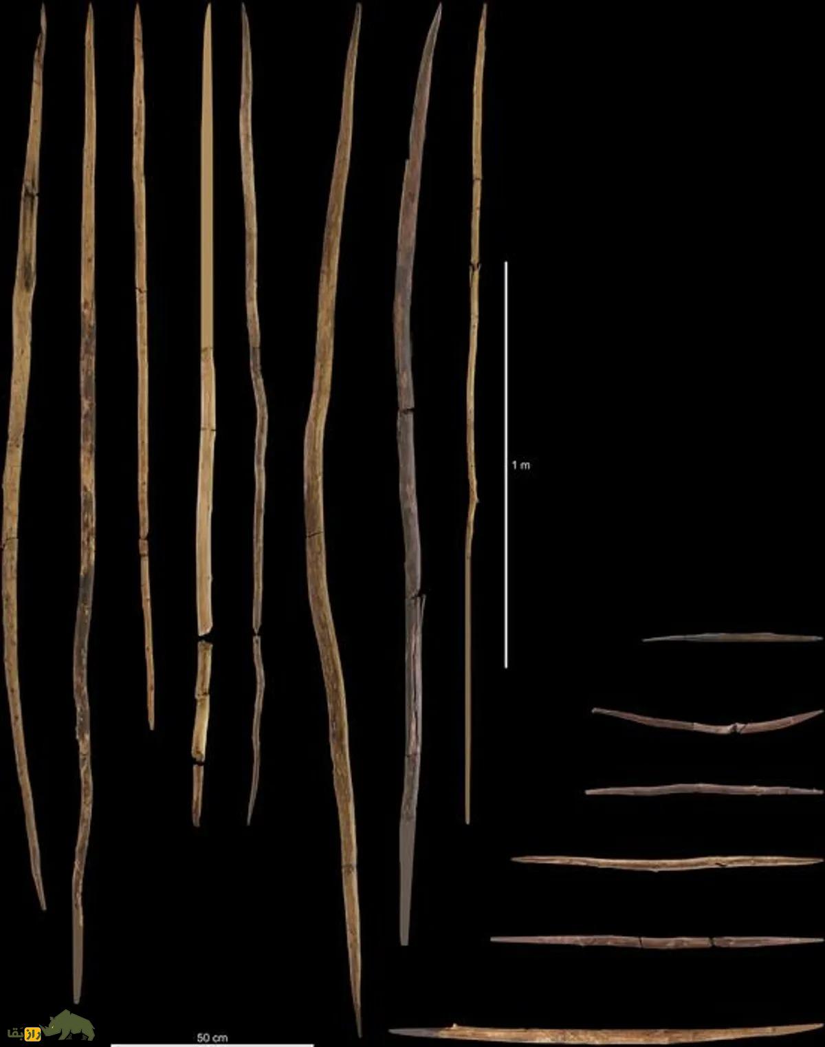 کشف ابعاد جدیدی از زندگی نئاندرتال‌ها با چوب‌های ۳۰۰ هزار ساله