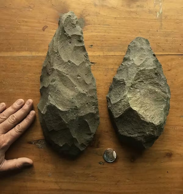 اگر گونه‌های دیگر انسان‌ها منقرض نشده بودند، همچنان خود را «انسان» می‌دانستیم؟