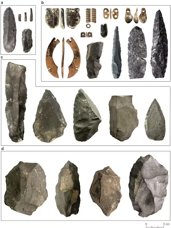 سرنخهای جدید و شگفتآور از زندگی و زمانه انسانتباری به نامِ دنیسووان (Denisovans) سرنخهای جدید و شگفتآور از زندگی و زمانه انسانتباری به نامِ دنیسووان (Denisovans)