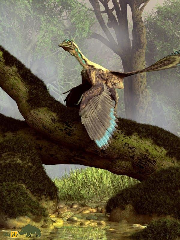 چرا انسان‌ها بال ندارند؟