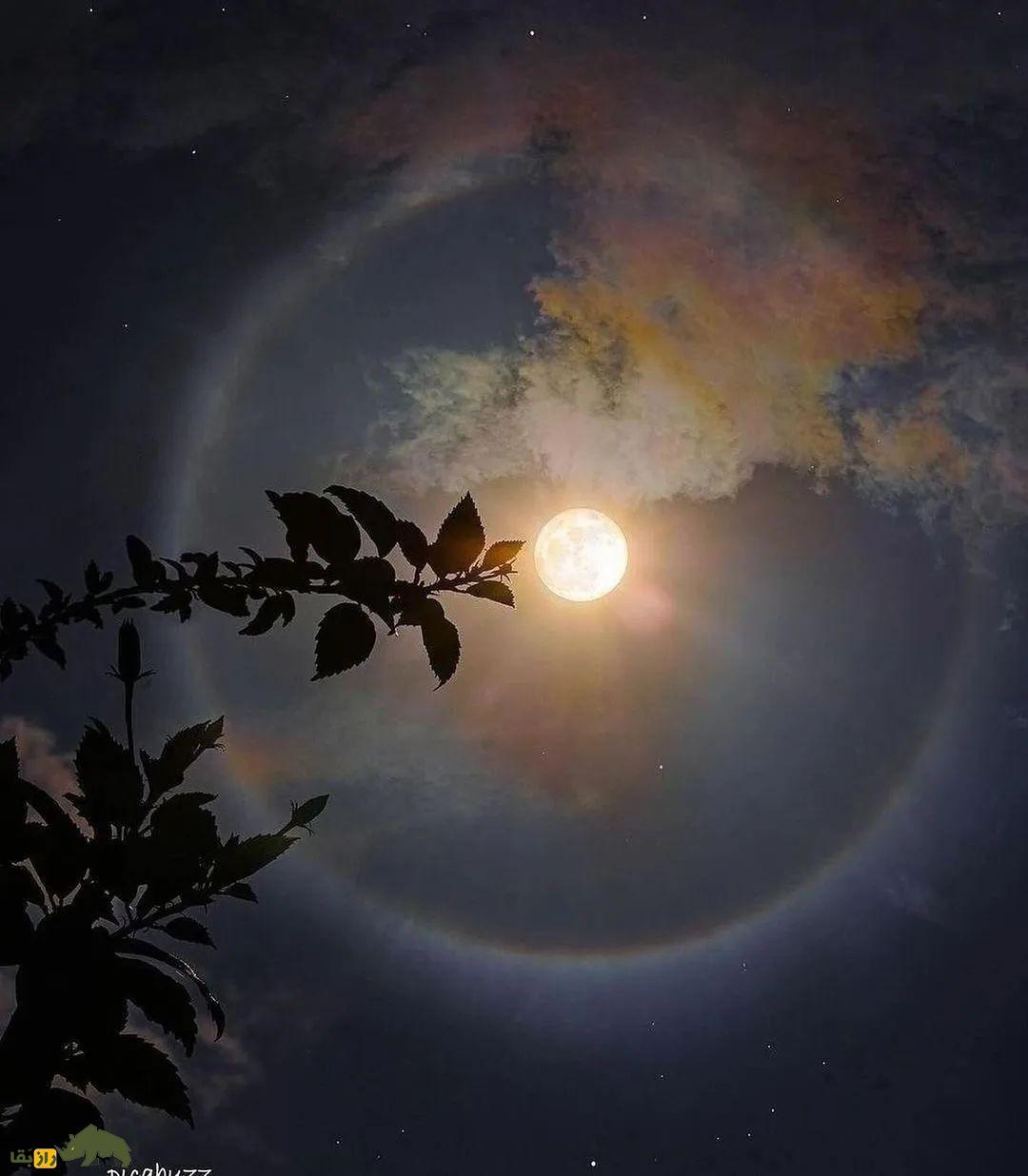 تصاویر حیرت‌انگیز ماه کامل در شهر‌های مختلف جهان؛ شما کدام‌یک را می‌پسندید؟!