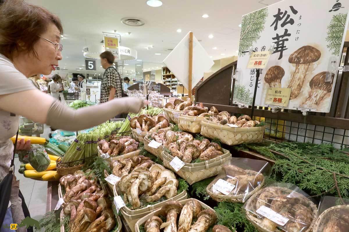 با «ماتسوتاکه» گران‌ترین قارچ جهان آشنا شوید