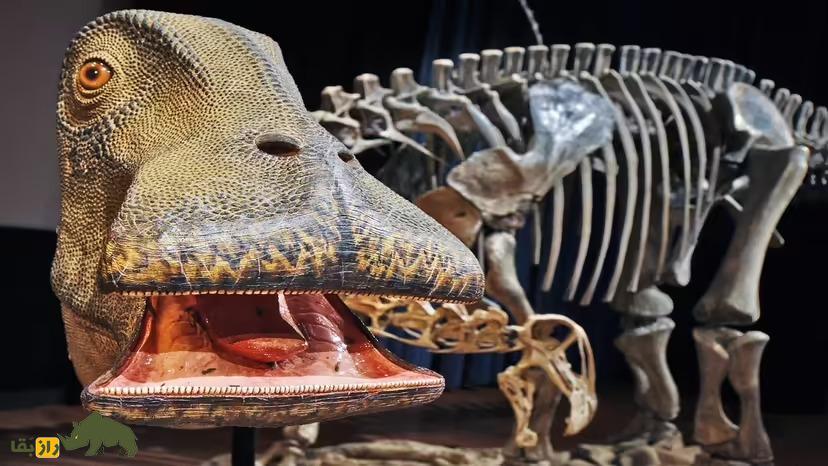 «گاو مزوزوئیک»؛ دایناسور غولپیکر و گیاهخواری که ۵۰۰ دندان داشت! «گاو مزوزوئیک»؛ دایناسور غولپیکر و گیاهخواری که ۵۰۰ دندان داشت!