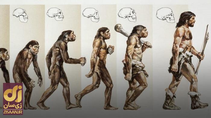 راز دو پا بودن انسان فاش شد!