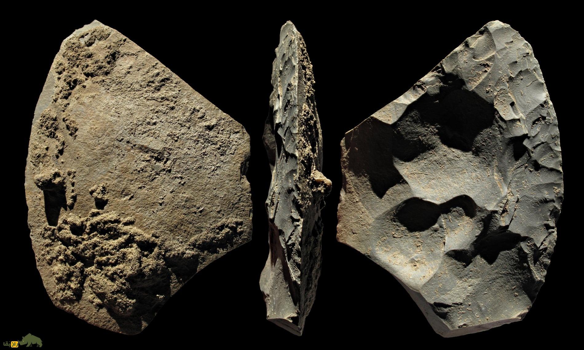 «شکارچی نئاندرتالها»؛ این مرد تاریخ بشر را بازنویسی میکند؟ «شکارچی نئاندرتالها»؛ این مرد تاریخ بشر را بازنویسی میکند؟