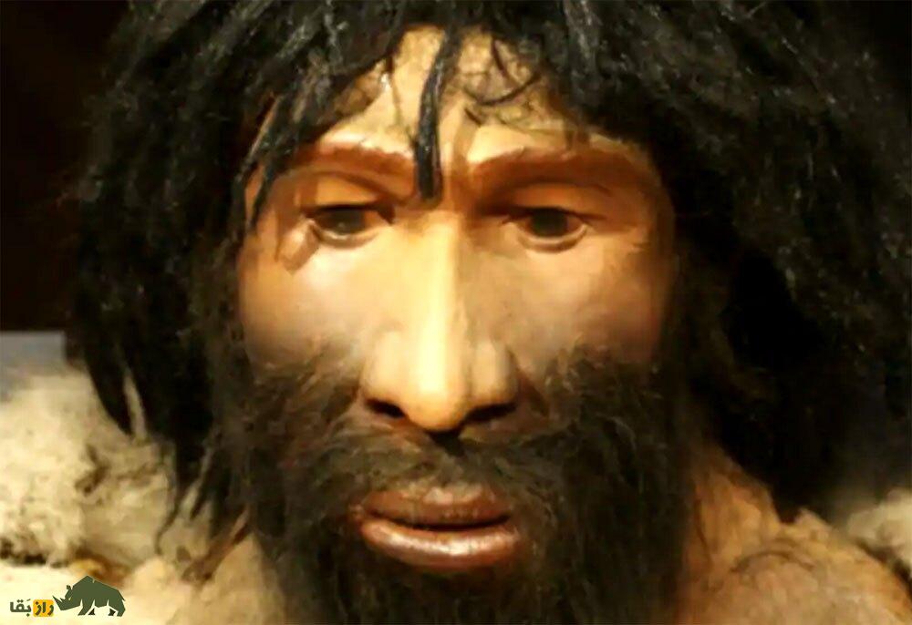 چرا موهای بدن زنان از مردان کمتر است؟ آیا این یک مزیت تکاملی به همراه دارد؟ چرا موهای بدن زنان از مردان کمتر است؟ آیا این یک مزیت تکاملی به همراه دارد؟