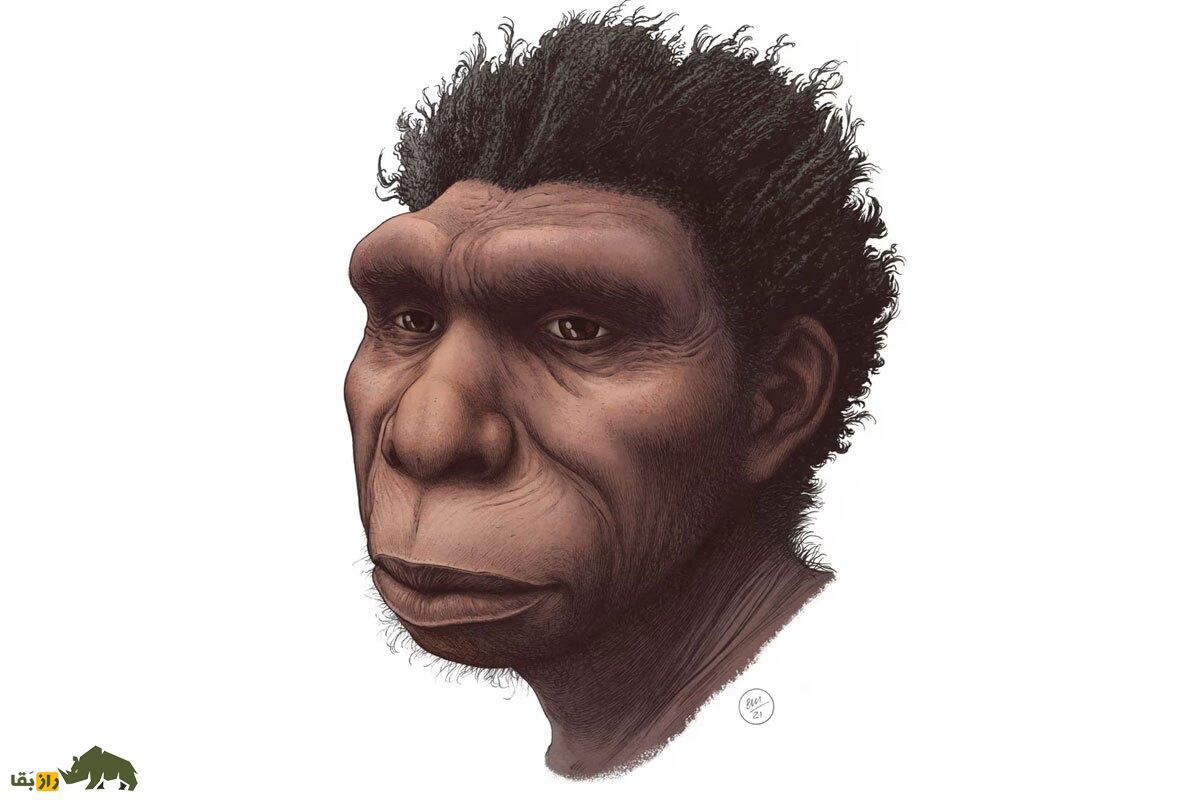 جد انسان‌های امروزی که ۵۰۰۰۰۰ سال پیش می‌زیست که بود؟