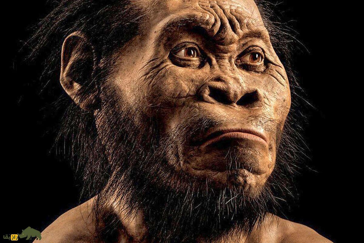 انسان‌های اولیه چقدر عمر می‌کردند؟