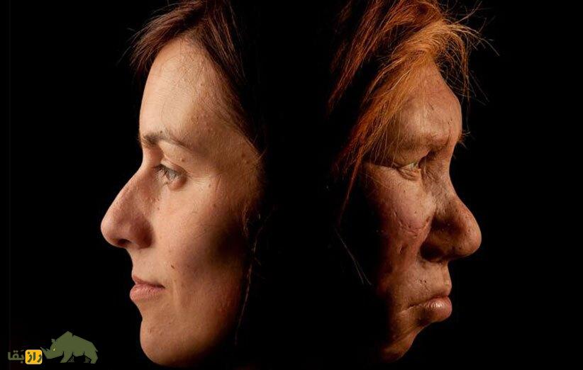 اولین آمیزش جنسی انسان با نئاندرتال کجا اتفاق افتاد؟ انسان و نئاندرتال