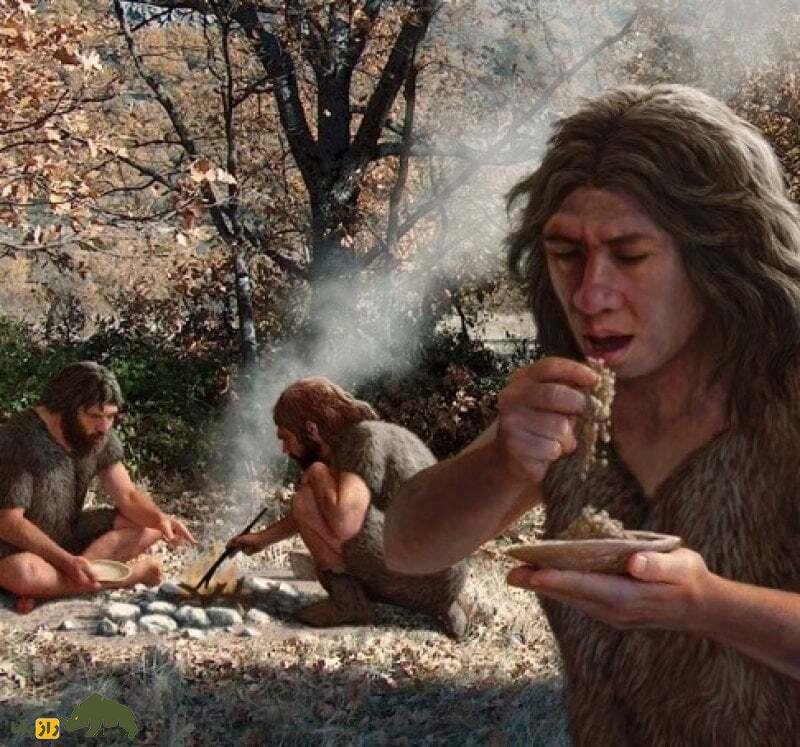 بررسی یک فرضیه: نئاندرتالها عاشق گیاه بودند و داروی گیاهی میخوردند بررسی یک فرضیه: نئاندرتالها عاشق گیاه بودند و داروی گیاهی میخوردند