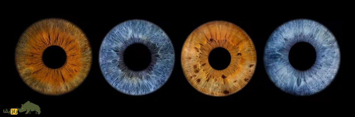 رنگ چشم چطور ساخته می‌شود و چرا چشم‌هایی با رنگ‌های متفاوت داریم؟