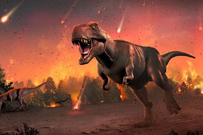 شهاب سنگی که دایناسورها را منقرض کرد به کجای زمین خورد و آن روز چه اتفاقی رخ داد؟ شهاب سنگی که دایناسورها را منقرض کرد به کجای زمین خورد و آن روز چه اتفاقی رخ داد؟