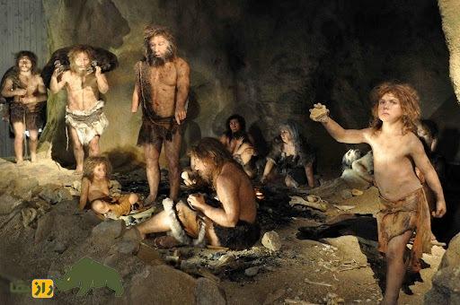 نتایج یک تحقیق جالب: نئاندرتالها چطور دست خالی فیل شکار میکردند؟ نئاندرتالها