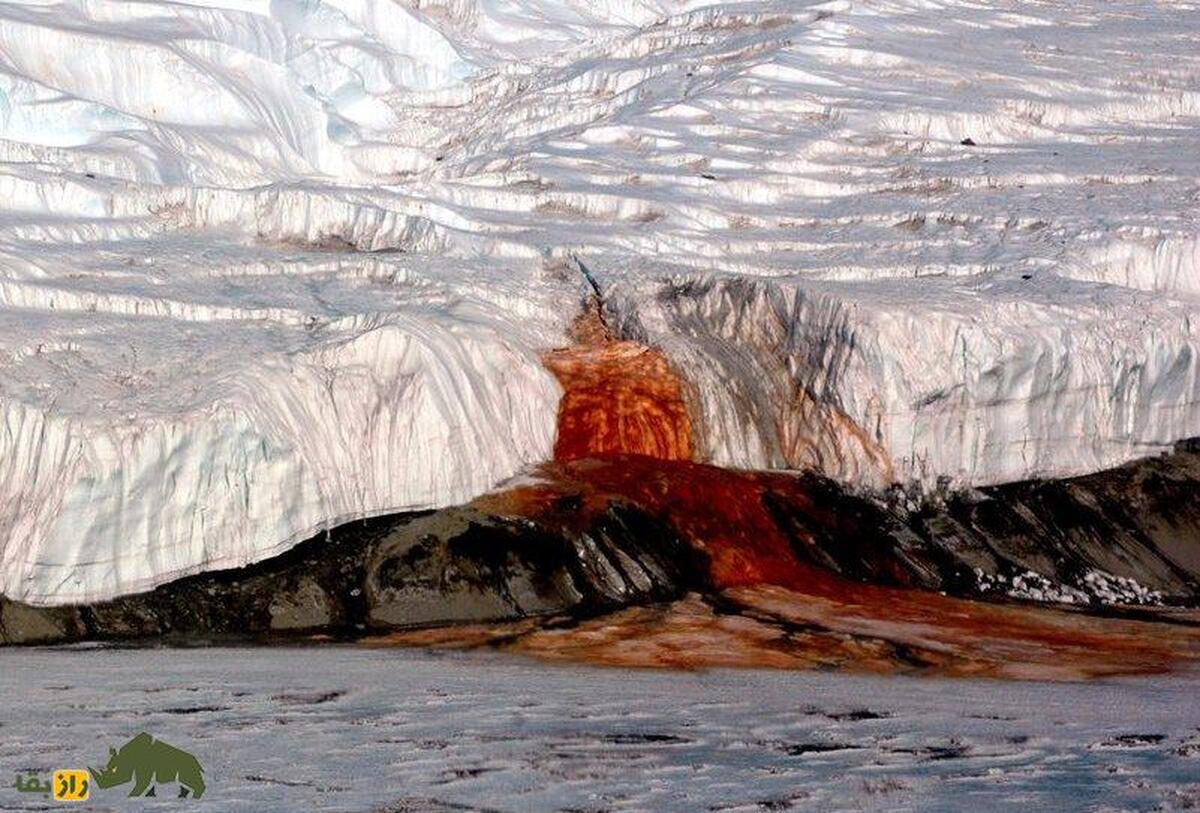راز این آبشار خون در قطب جنوب چیست؟