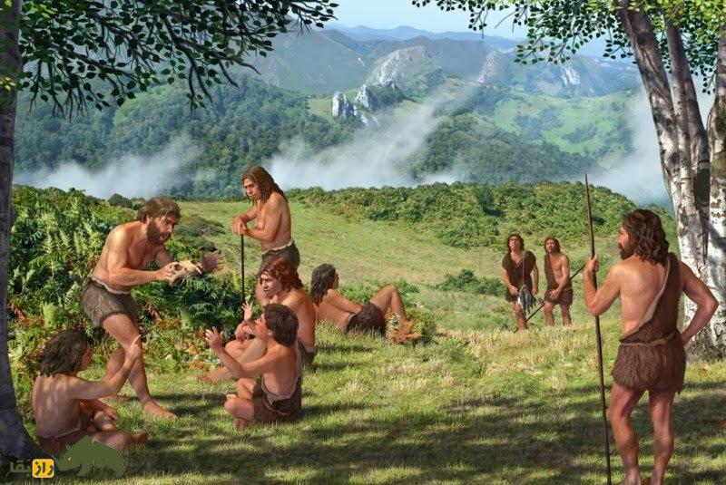 نقش عجیب «علف» در تکامل و تمدن انسان! نقش عجیب «علف» در تکامل و تمدن انسان!