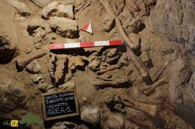 کشف اولین خانواده نئاندرتال در غاری دور افتاده در سیبری!