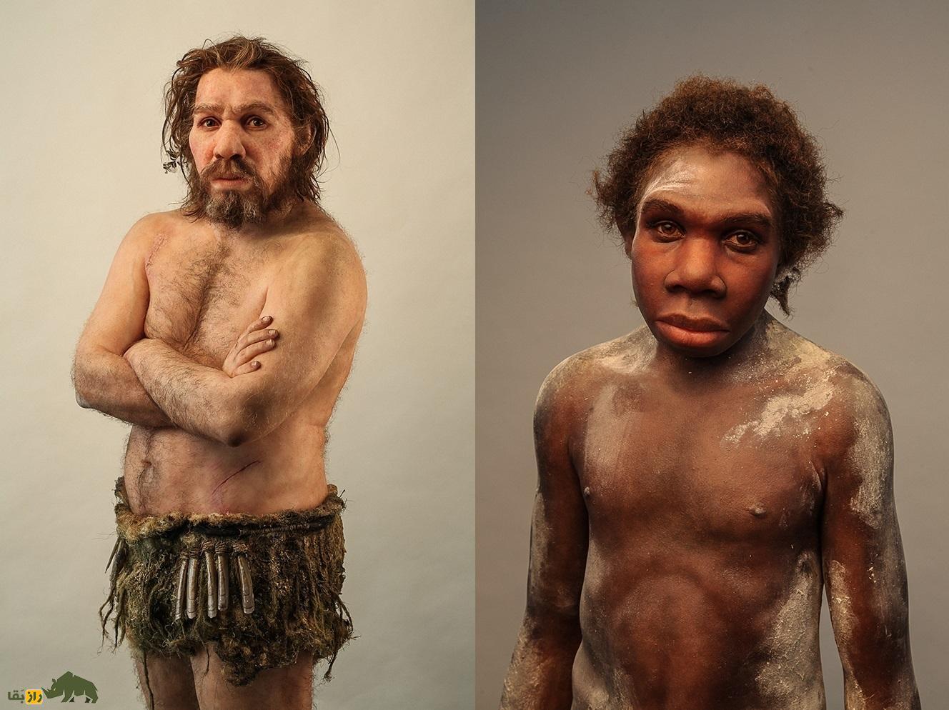 کشف اولین خانواده نئاندرتال در غاری دور افتاده در سیبری!