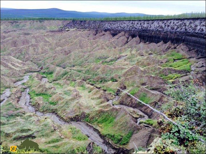 کشف عجیب یک جنگل باستانی در دروازه جهنم!