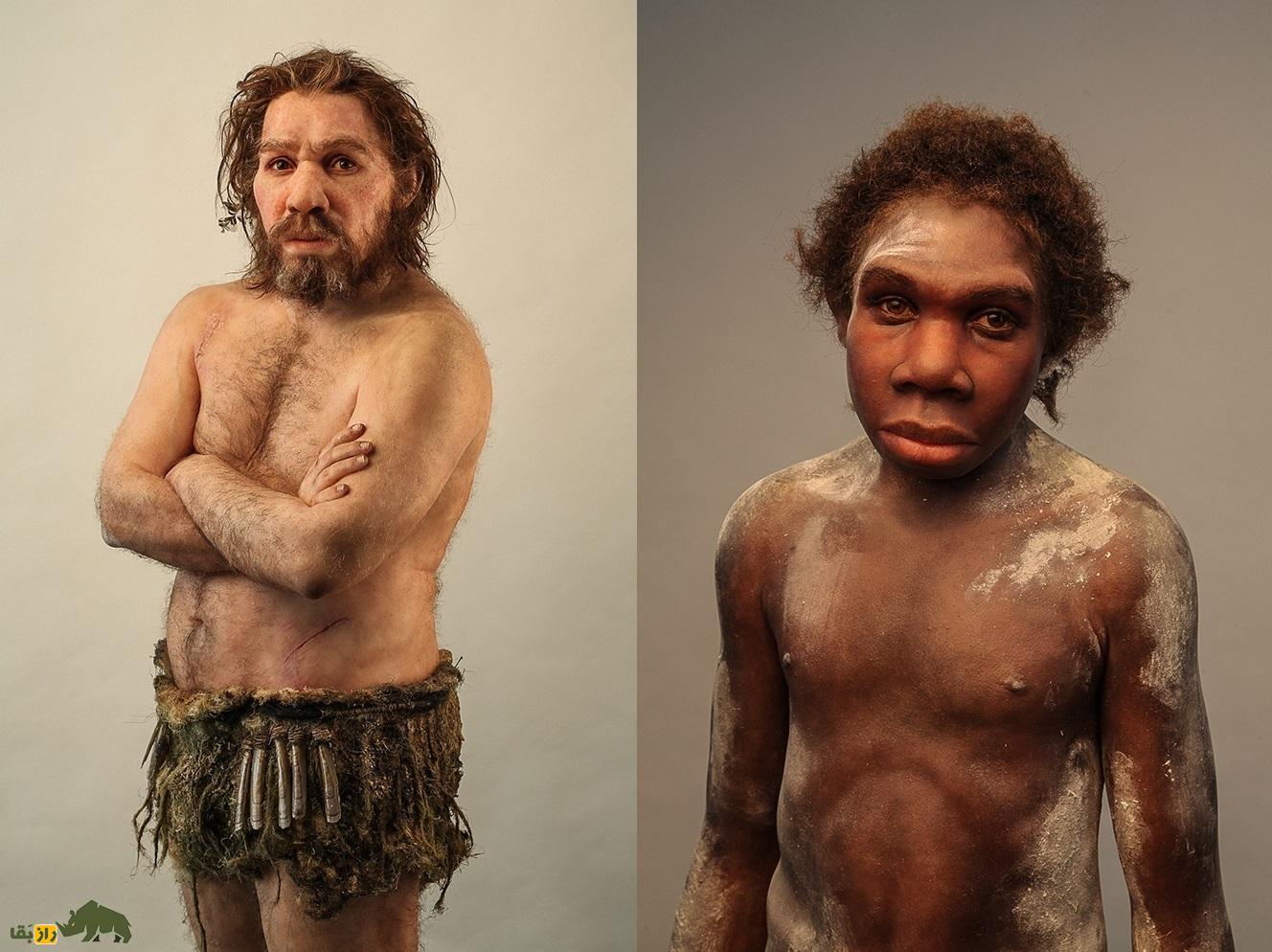 چهرۀ یک انسان نئاندرتال از نمای نزدیک؛ آنها دقیقا چه شکلی بودند؟