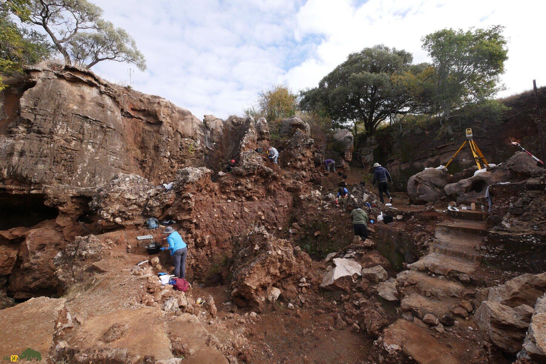 کشف جمجمه دو میلیون ساله «عموزاده» انسان؛ چهره او چه شکلی بود؟!