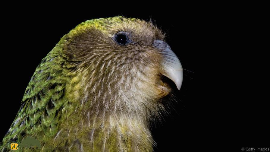 اگر در آخرالزمان تنها یک و زن و  مرد باقی بمانند، چقدر طول می‌کشد دوباره به جمعیت امروز برسیم؟