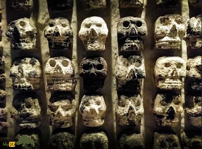 انسانهایی که خوراکشان گوشت انسان است! انسانهایی که خوراکشان گوشت انسان است!