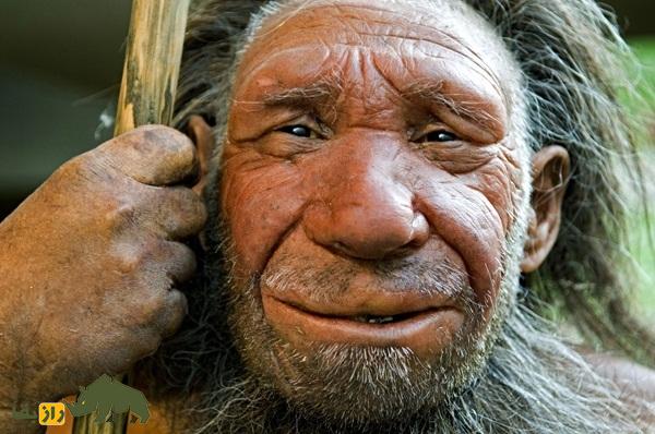 بزرگترین تفاوت انسانهای هوشمند و نئاندرتالها چه بود؟ بزرگترین تفاوت انسانهای هوشمند و نئاندرتالها چه بود؟