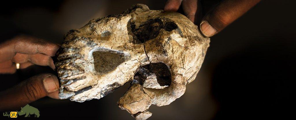 (تصاویر) دانشمندان چهرۀ یک انسان اولیه را شناسایی کردند؛ انسان اولیه این شکلی بود!