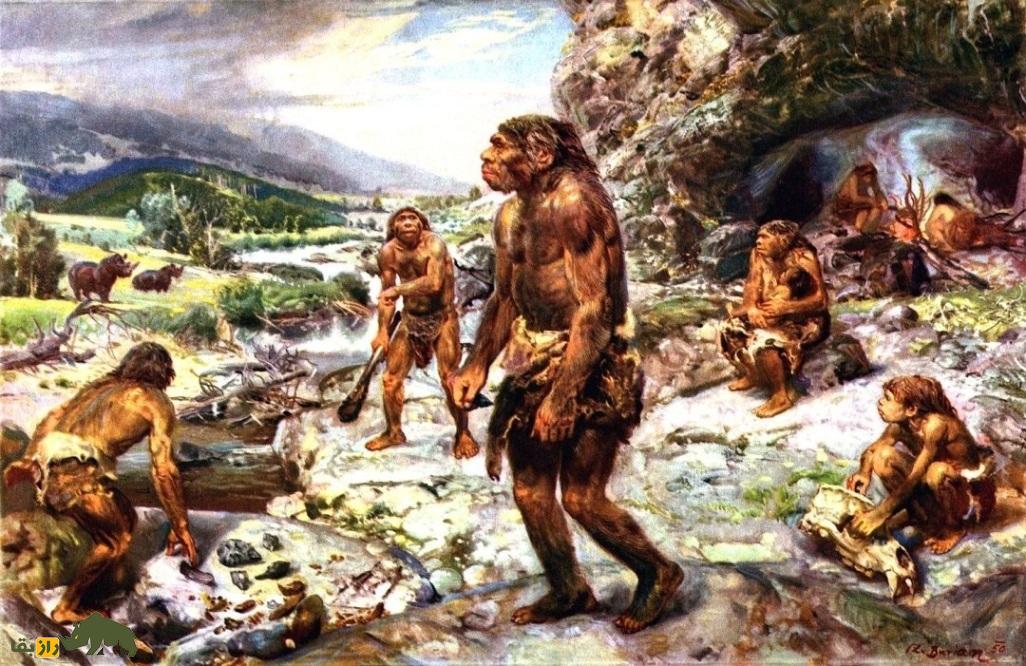 غذای نئاندرتال‌ها چه بود؟