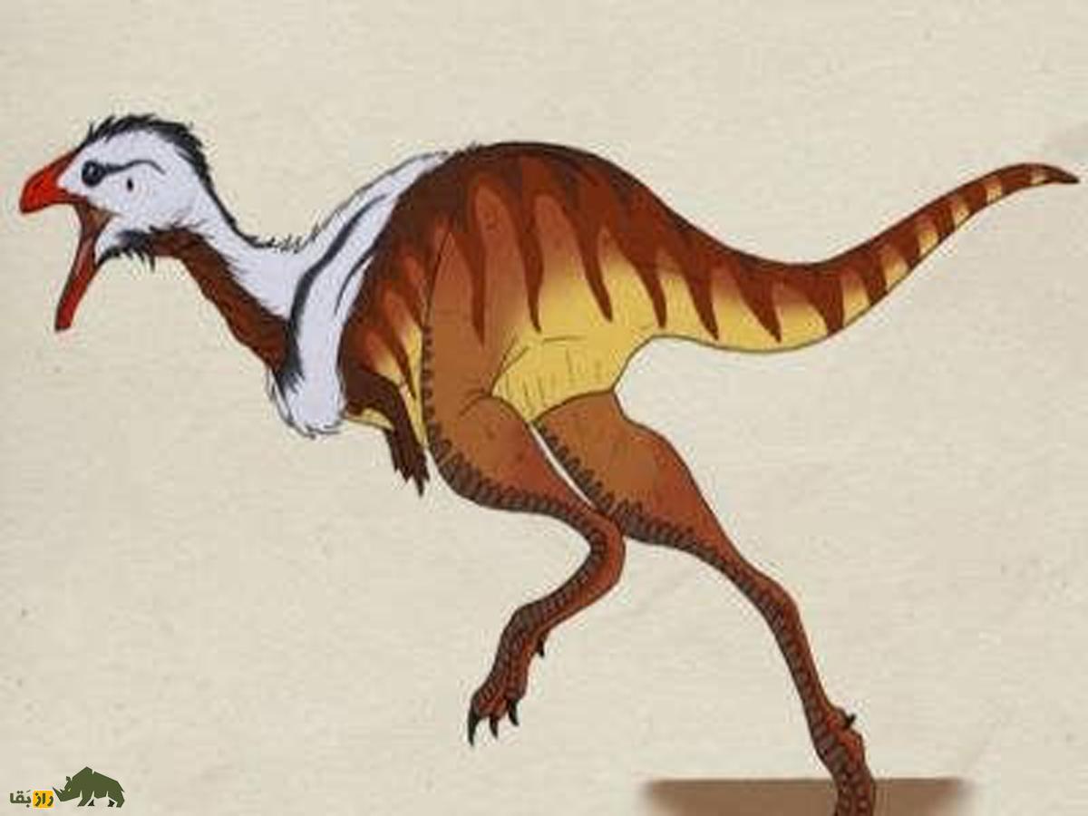 دایناسوری که از انقراض گریخت؛ پرندگان چطور صاحب منقار شدند؟