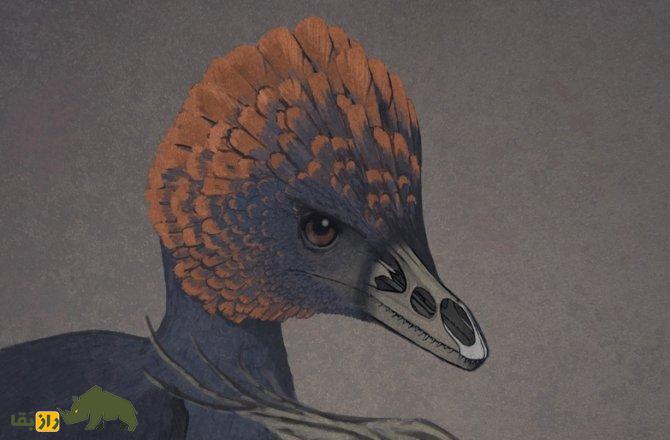 دایناسوری که از انقراض گریخت؛ پرندگان چطور صاحب منقار شدند؟